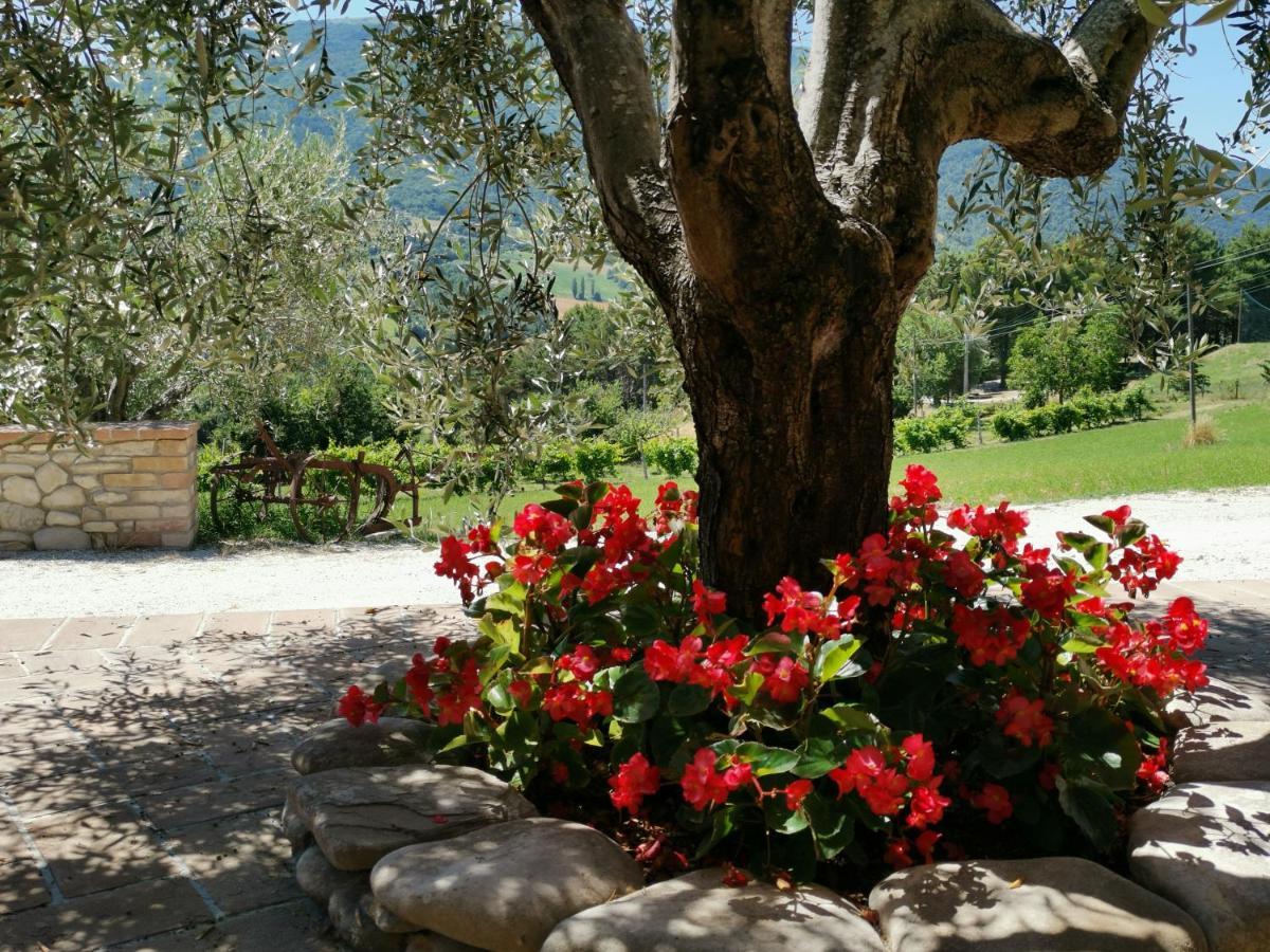 Agriturismo Sole Luna Пьяно-делле-Пьеве Экстерьер фото