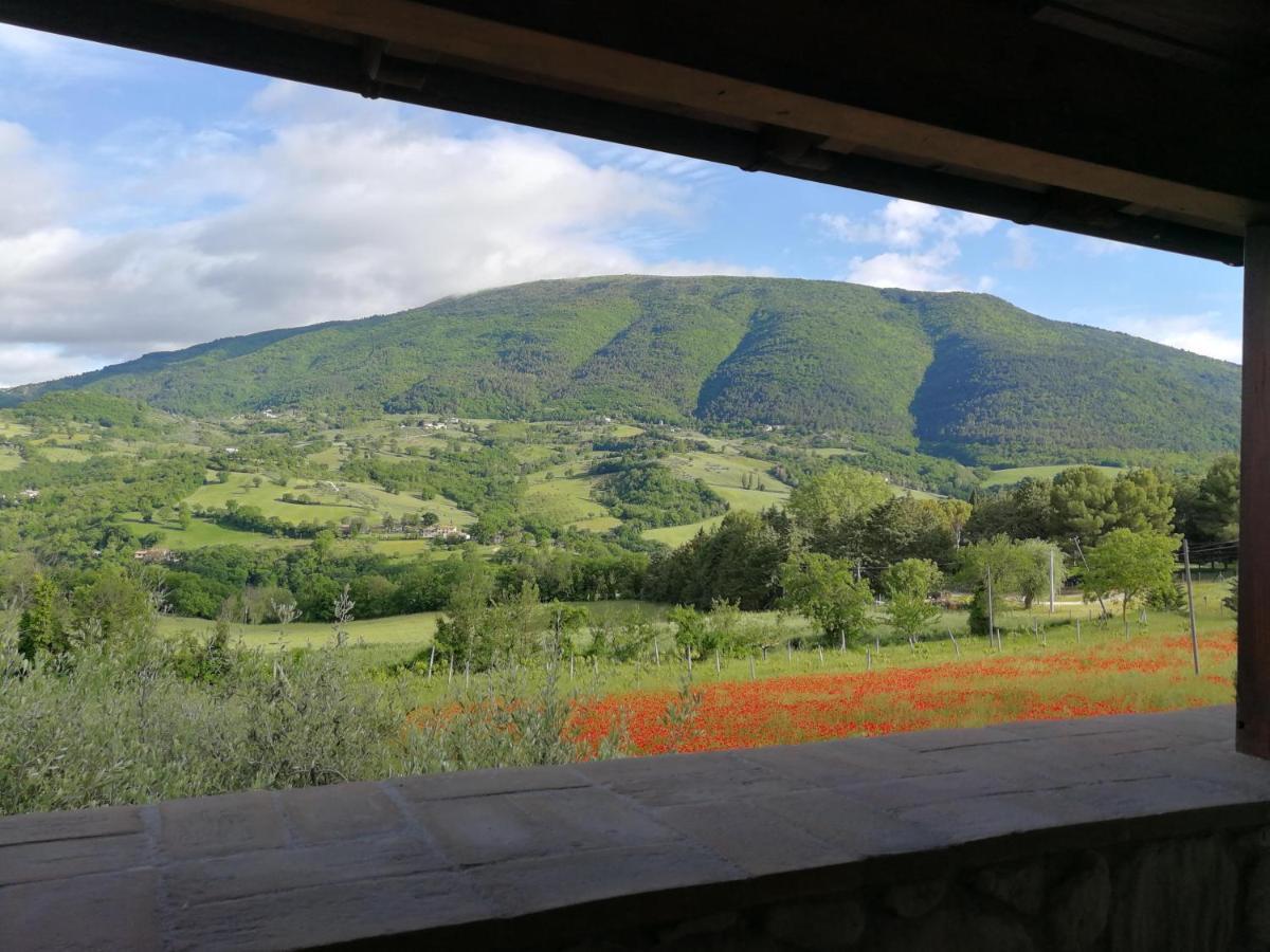 Agriturismo Sole Luna Пьяно-делле-Пьеве Экстерьер фото
