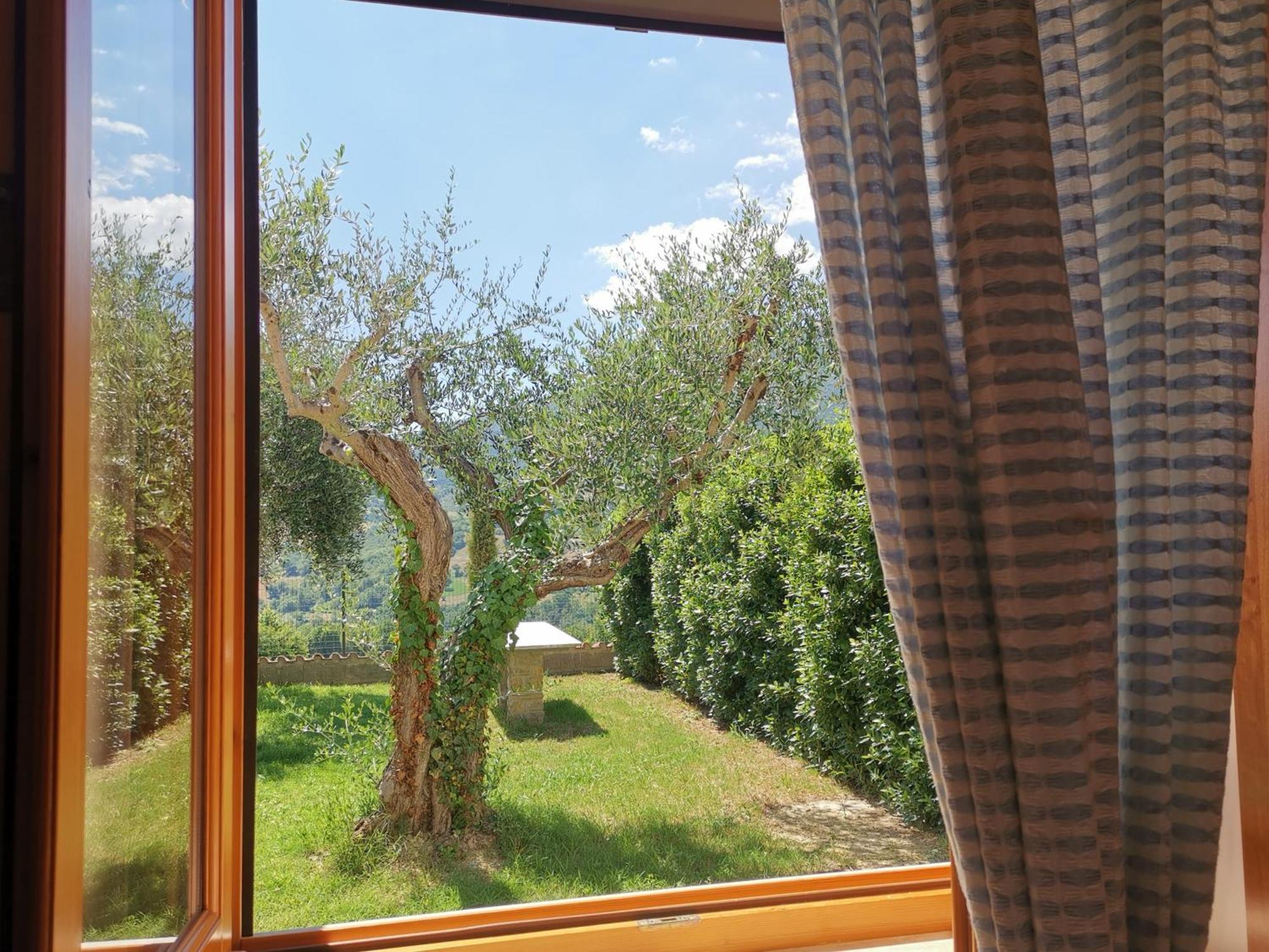 Agriturismo Sole Luna Пьяно-делле-Пьеве Номер фото