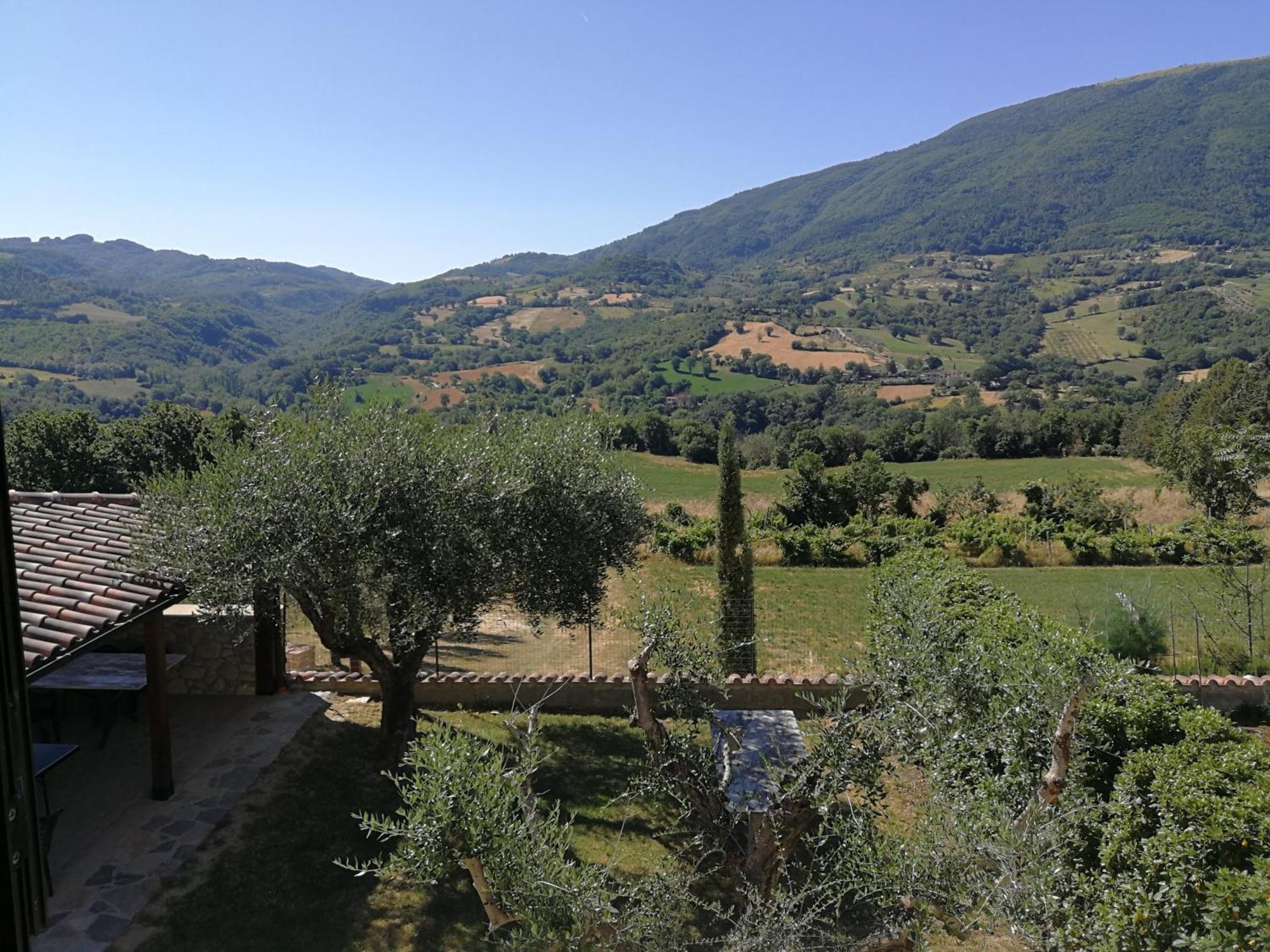 Agriturismo Sole Luna Пьяно-делле-Пьеве Номер фото